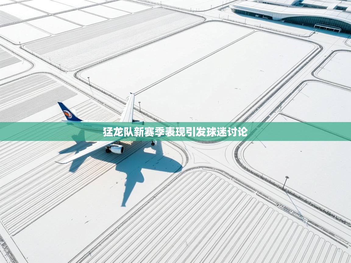 猛龙队新赛季表现引发球迷讨论  第1张