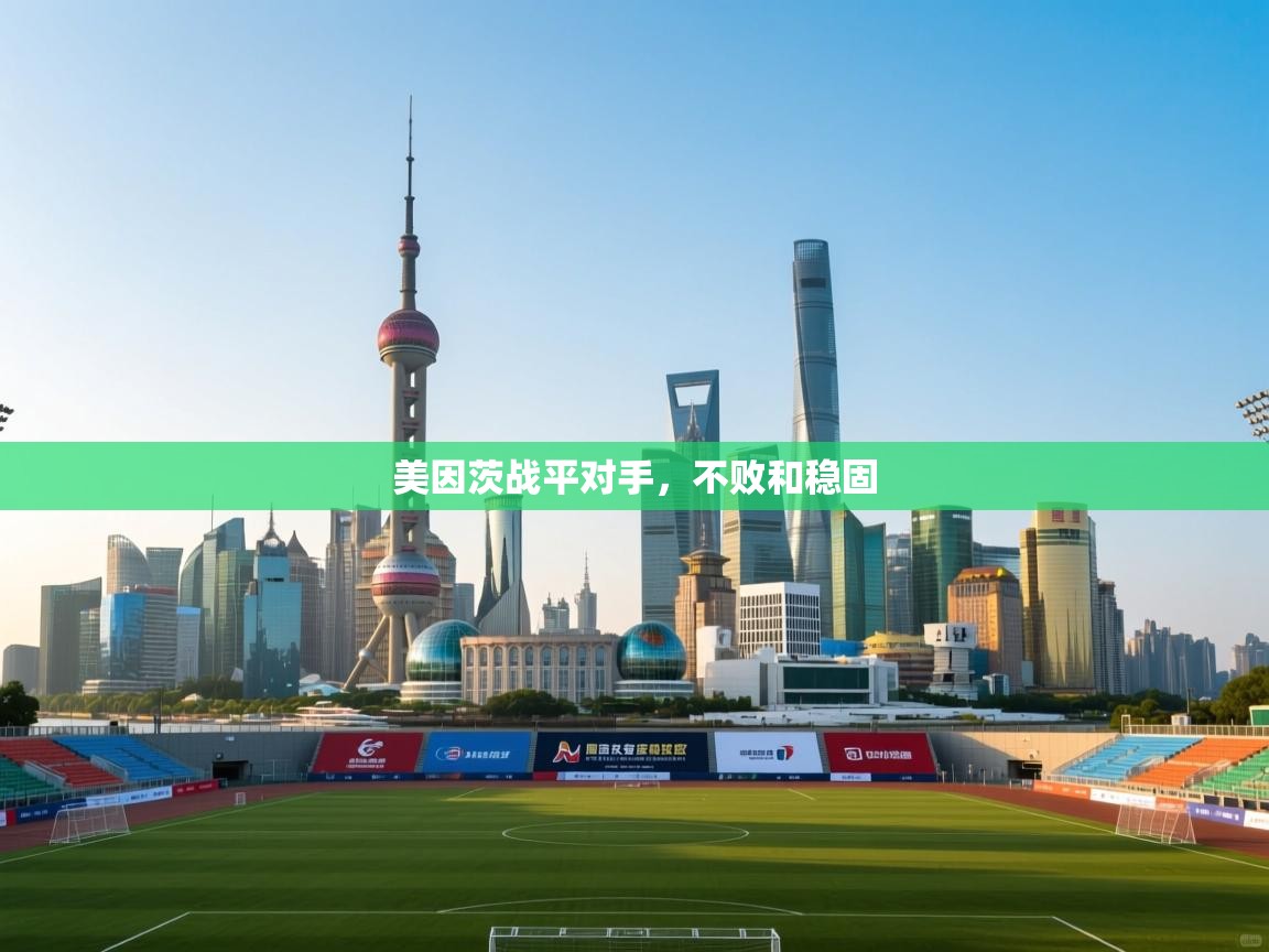 美因茨战平对手，不败和稳固  第2张