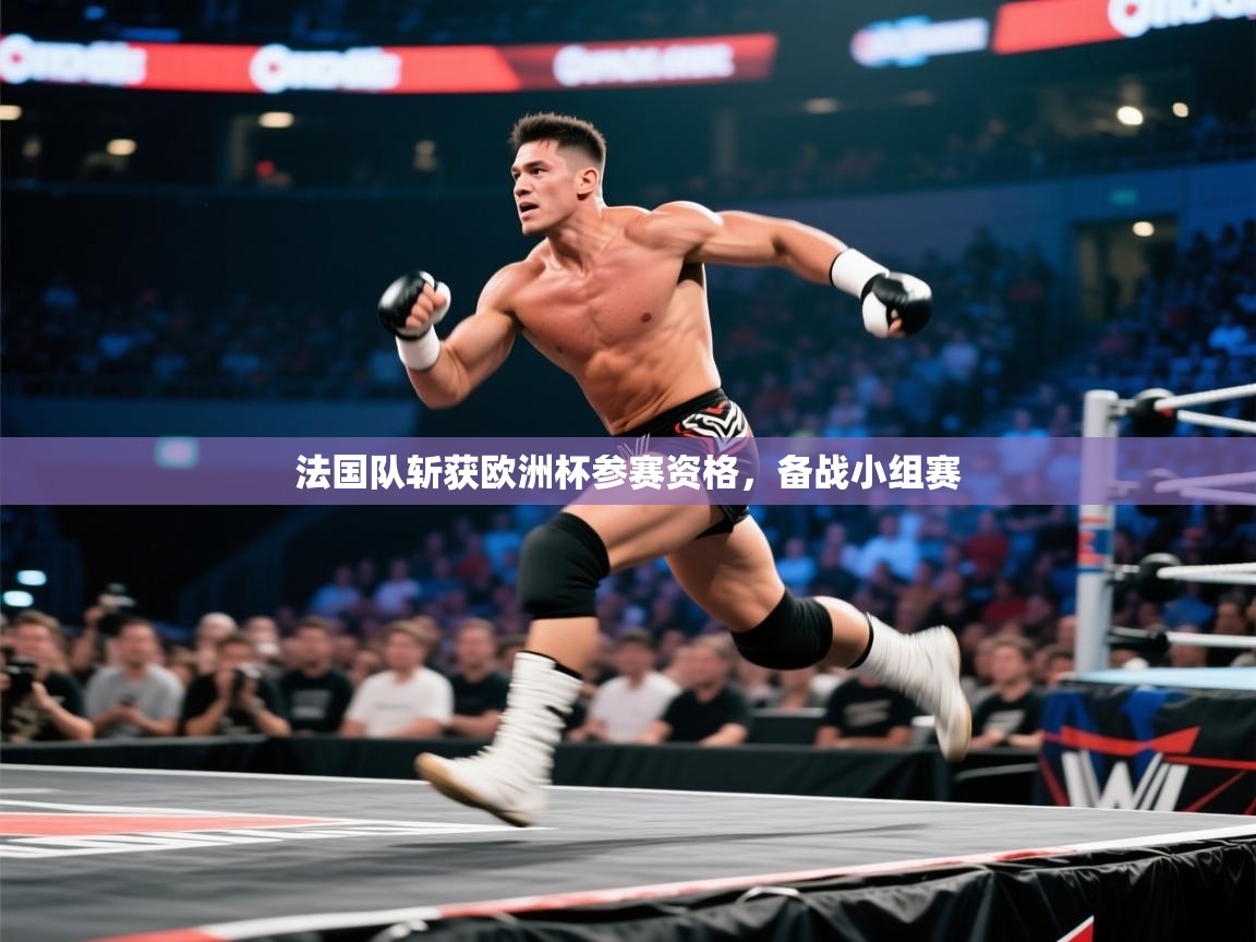 法国队斩获欧洲杯参赛资格，备战小组赛  第1张