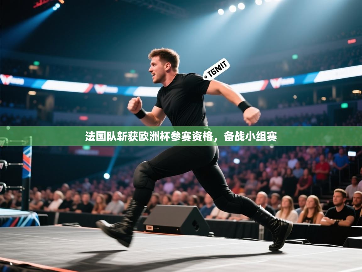 法国队斩获欧洲杯参赛资格，备战小组赛  第2张