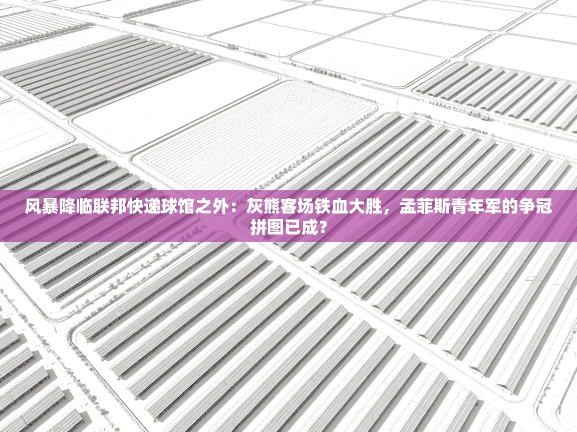 风暴降临联邦快递球馆之外：灰熊客场铁血大胜，孟菲斯青年军的争冠拼图已成？  第1张