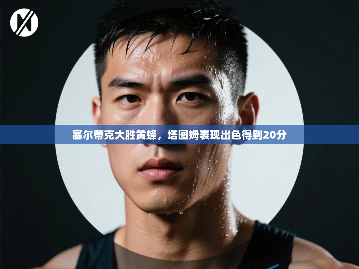 塞尔蒂克大胜黄蜂,塔图姆表现出色得到20分 第1张